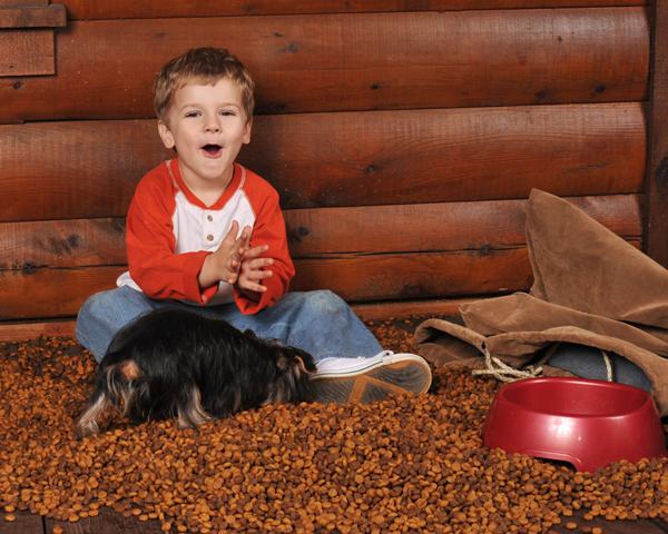 what does dog food do to humans surprising effects revealed