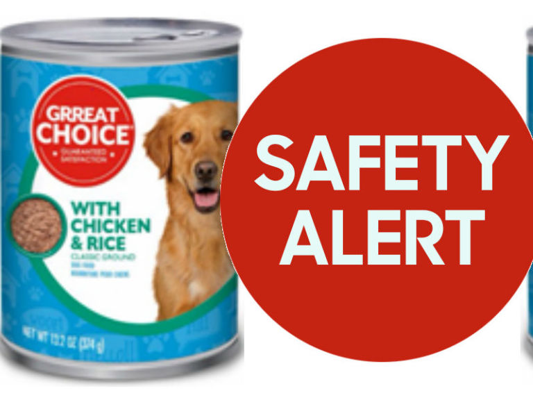 What Dog Food was Recalled?: Urgent Safety Alert!