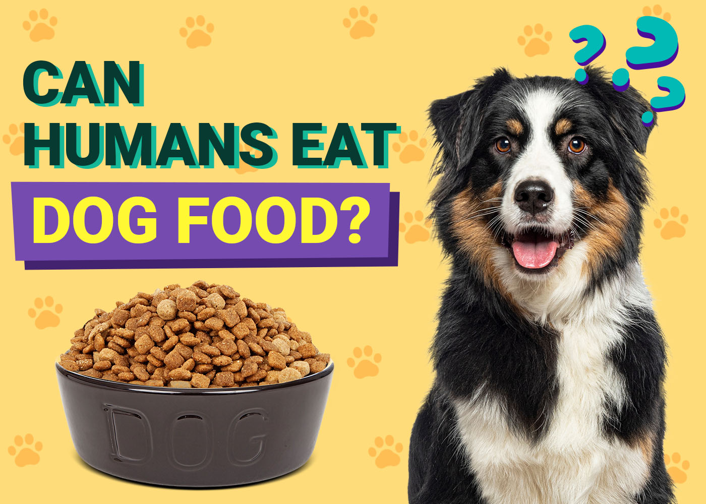 What Happens If a Human Ate Dog Food: Surprising Health Insights