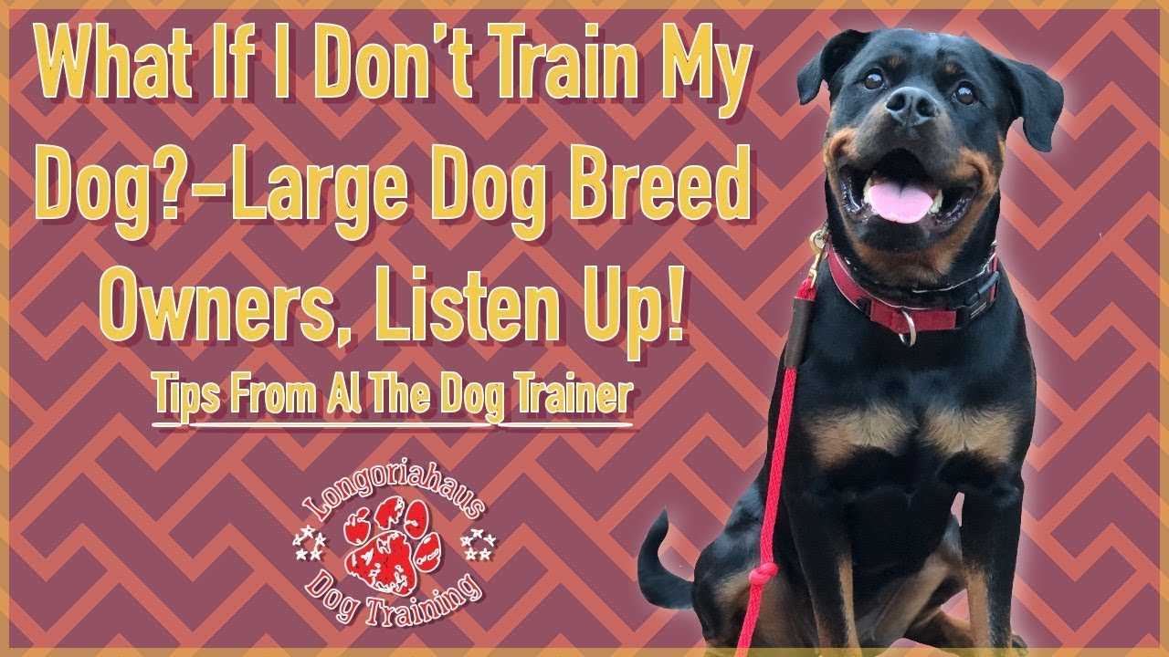 what happens if you dont train your dog chaos unleashed