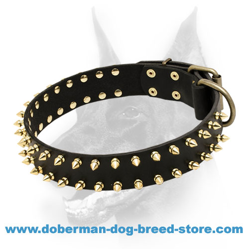 What is the Purpose of Spiked Dog-Collars: Unveiled Secrets
