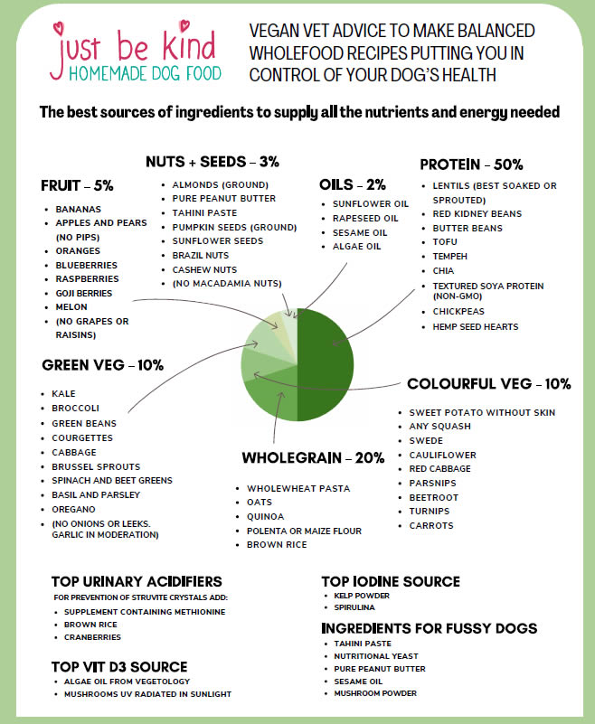 what nutrients do dogs need in homemade dog food essential guide