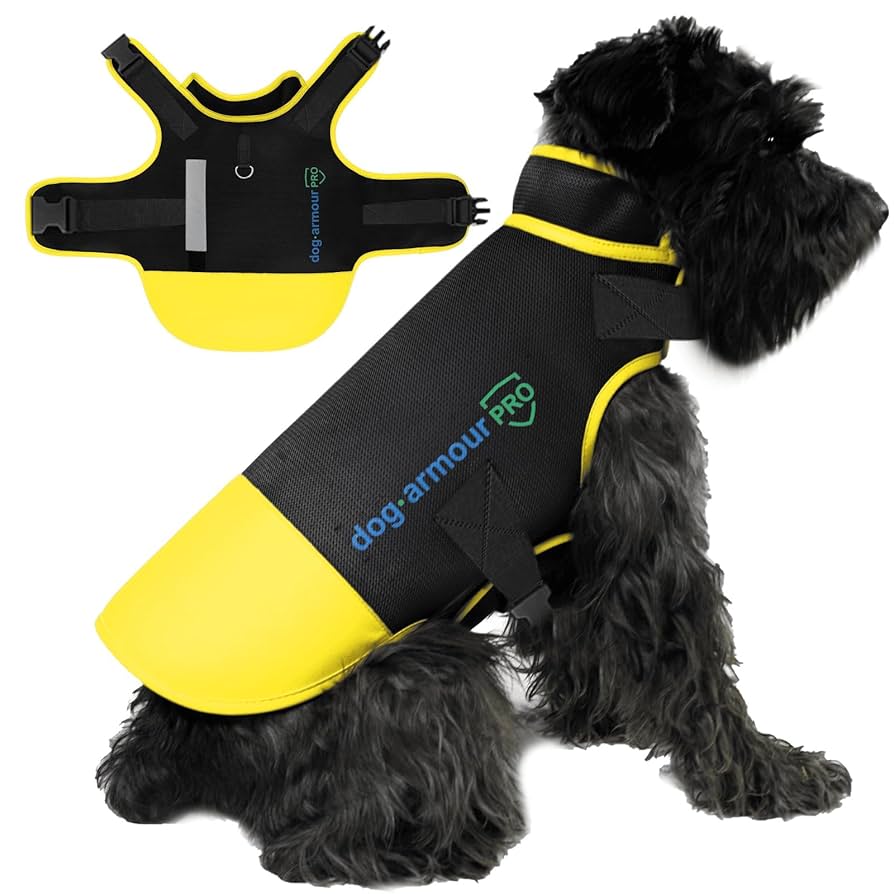 What to Carry for Dog Attack: Essential Safety Gear