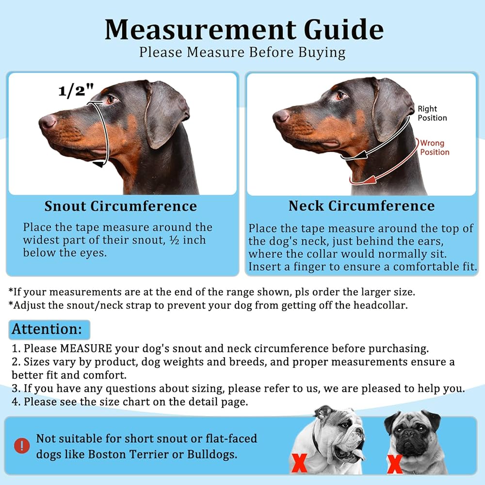 What to Do If You Find a Dog With Collar: Quick Guide