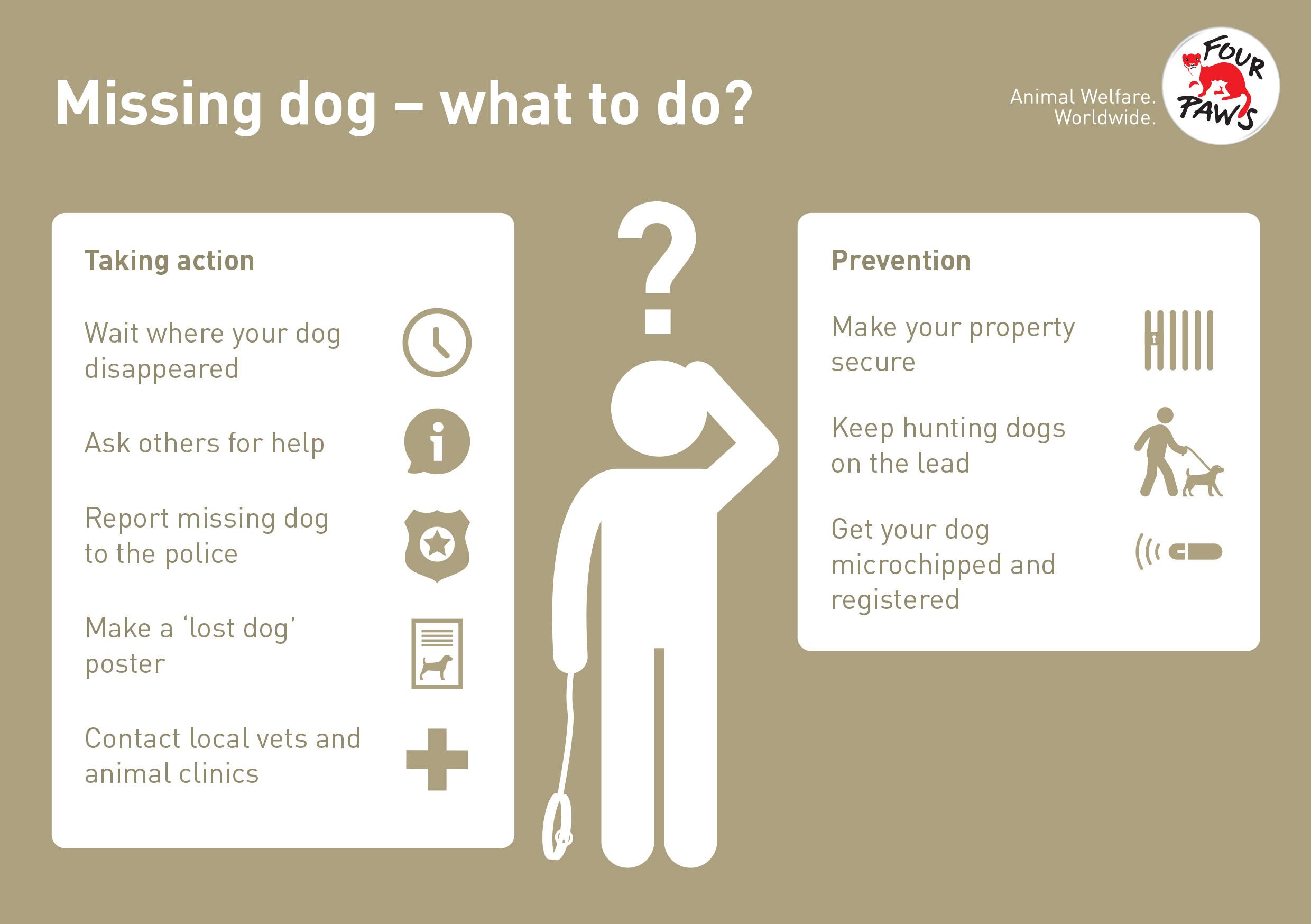 what to do if your dog takes off