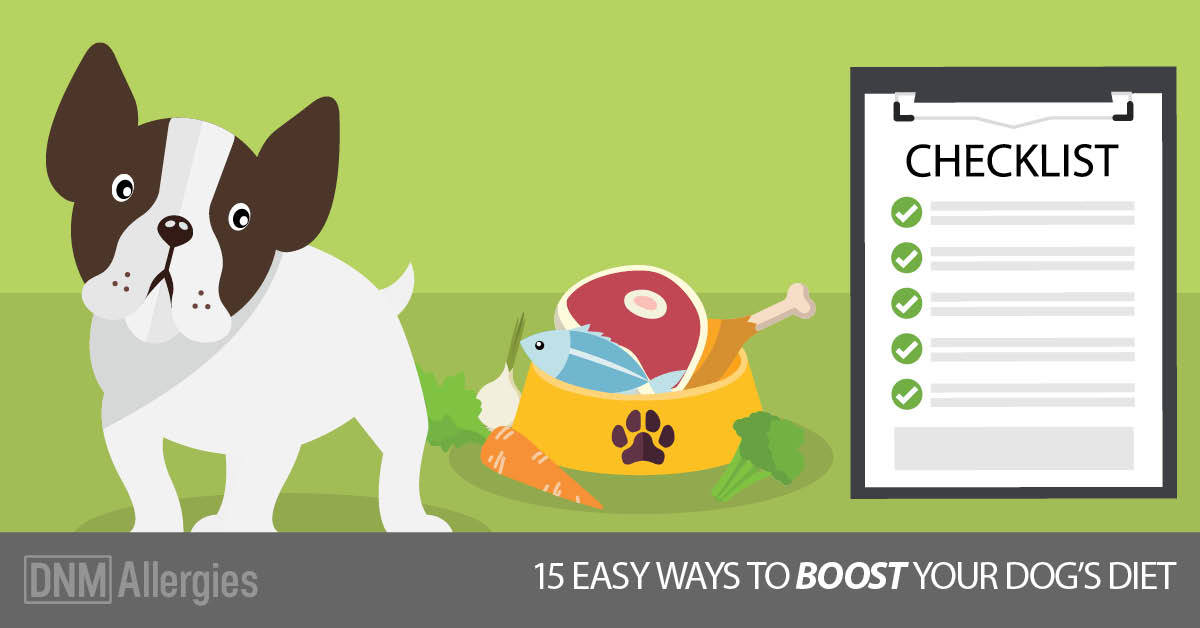 what to do when dog diet fails quick fixes tips