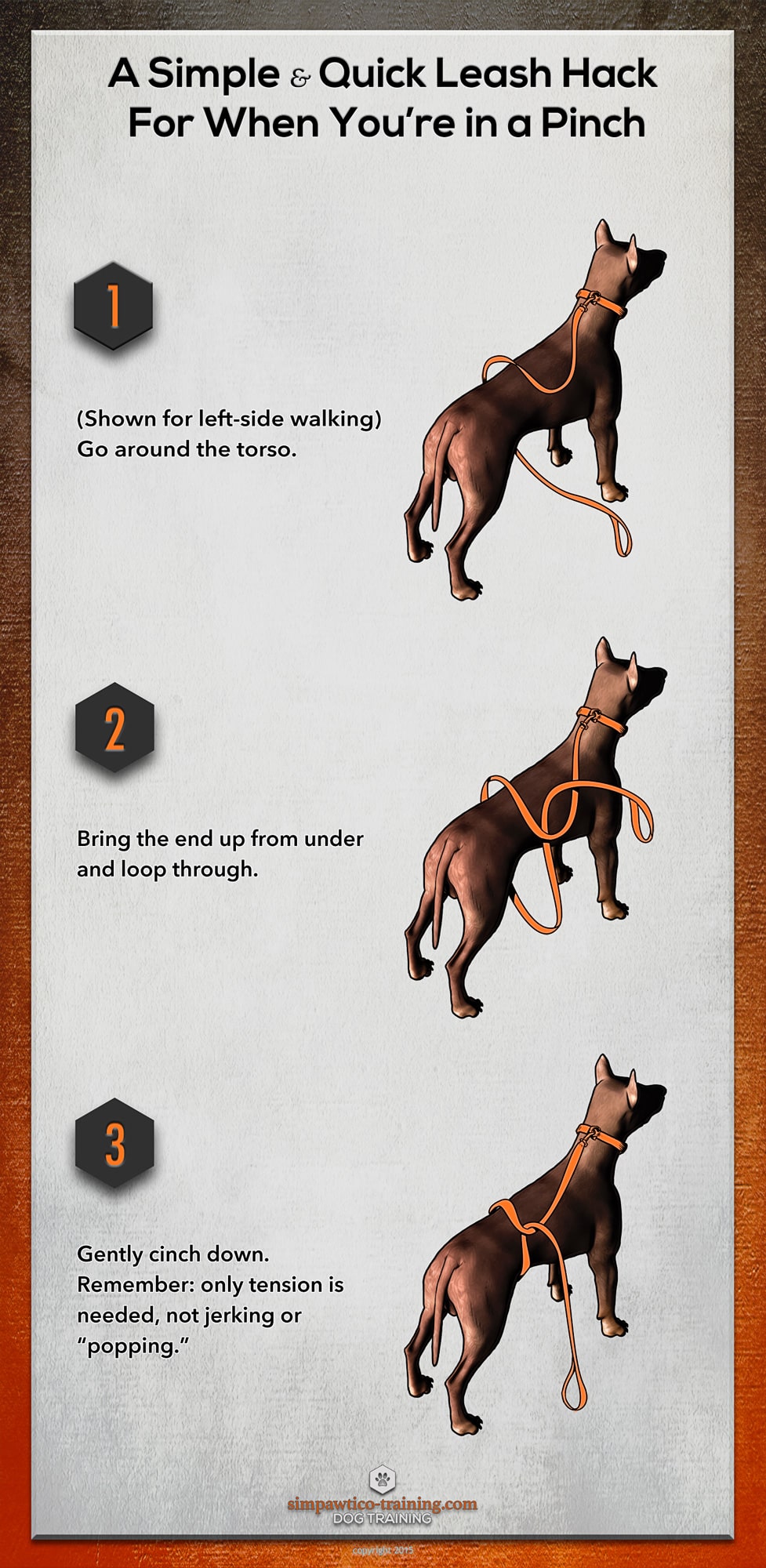 what to do when your dog pulls quick training tips