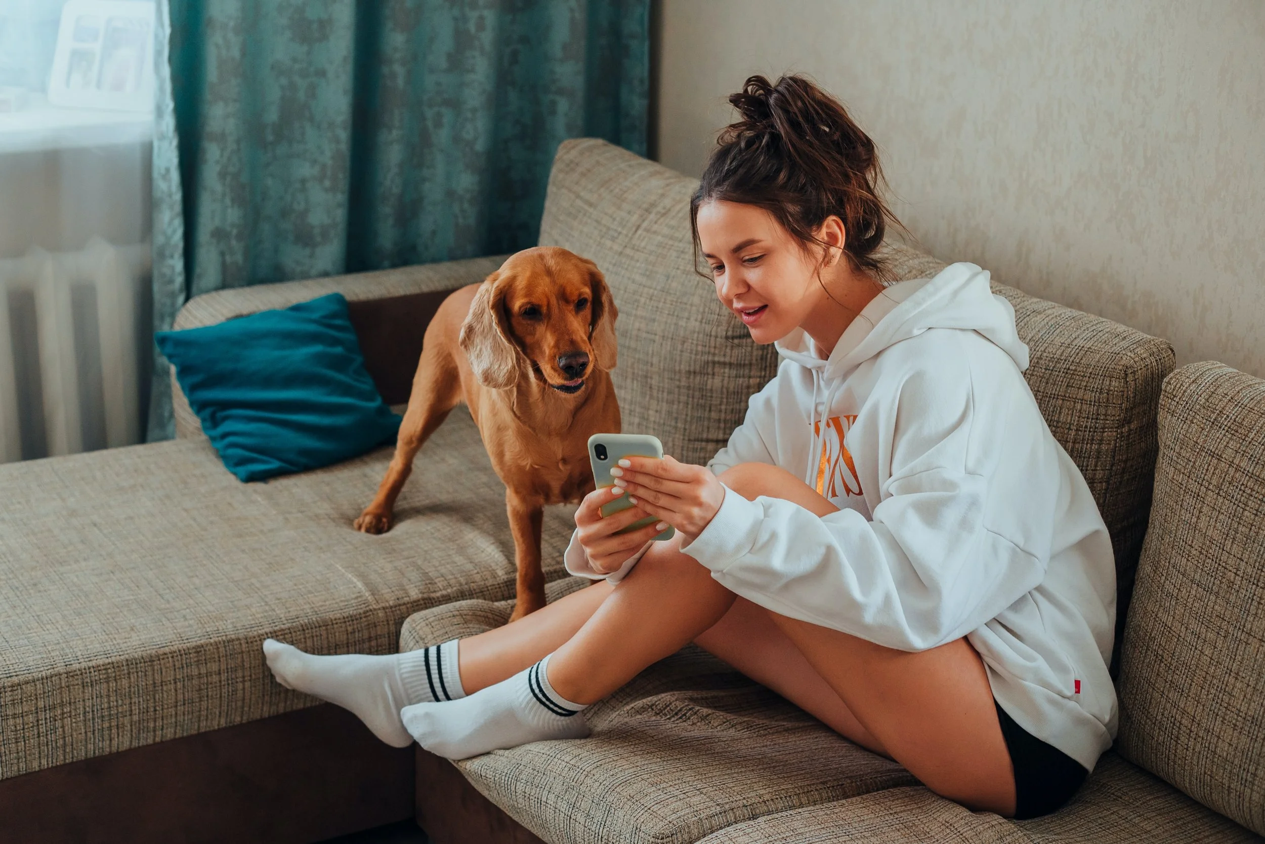 what to expect during a virtual vet visit a complete guide