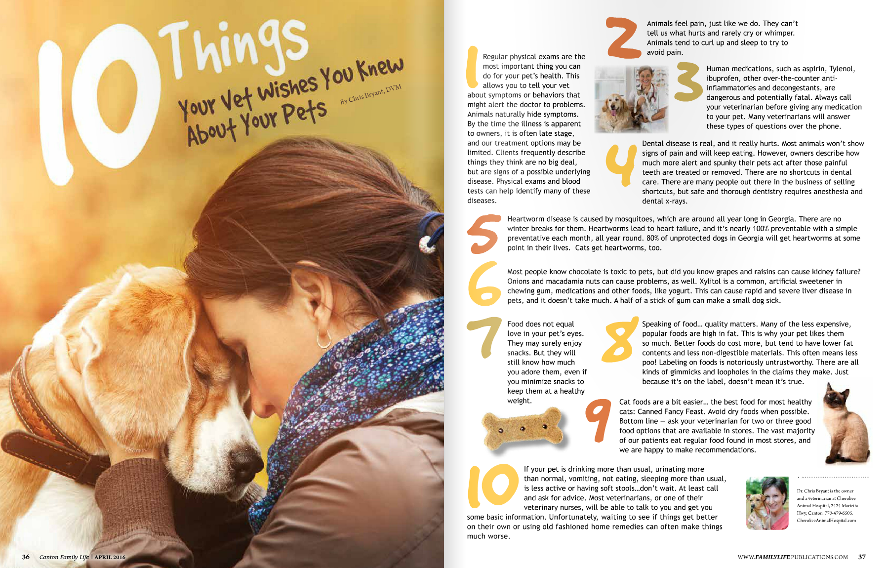 When Can I Get My Dog Done: Essential Vet Tips