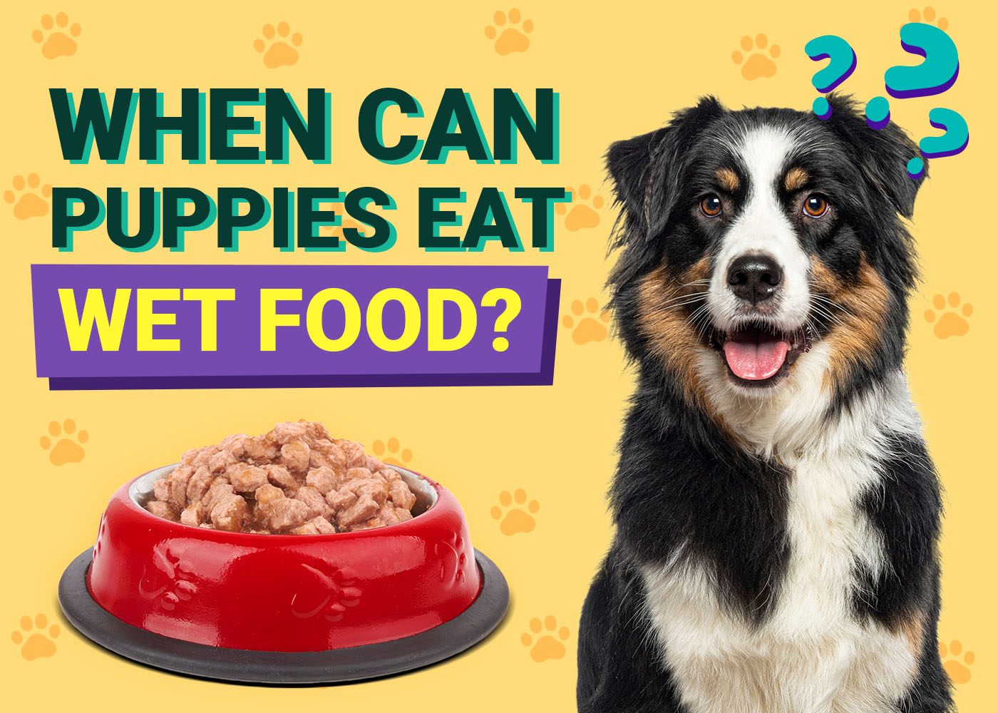 When Can Puppies Eat Wet Food: Essential Tips for Owners