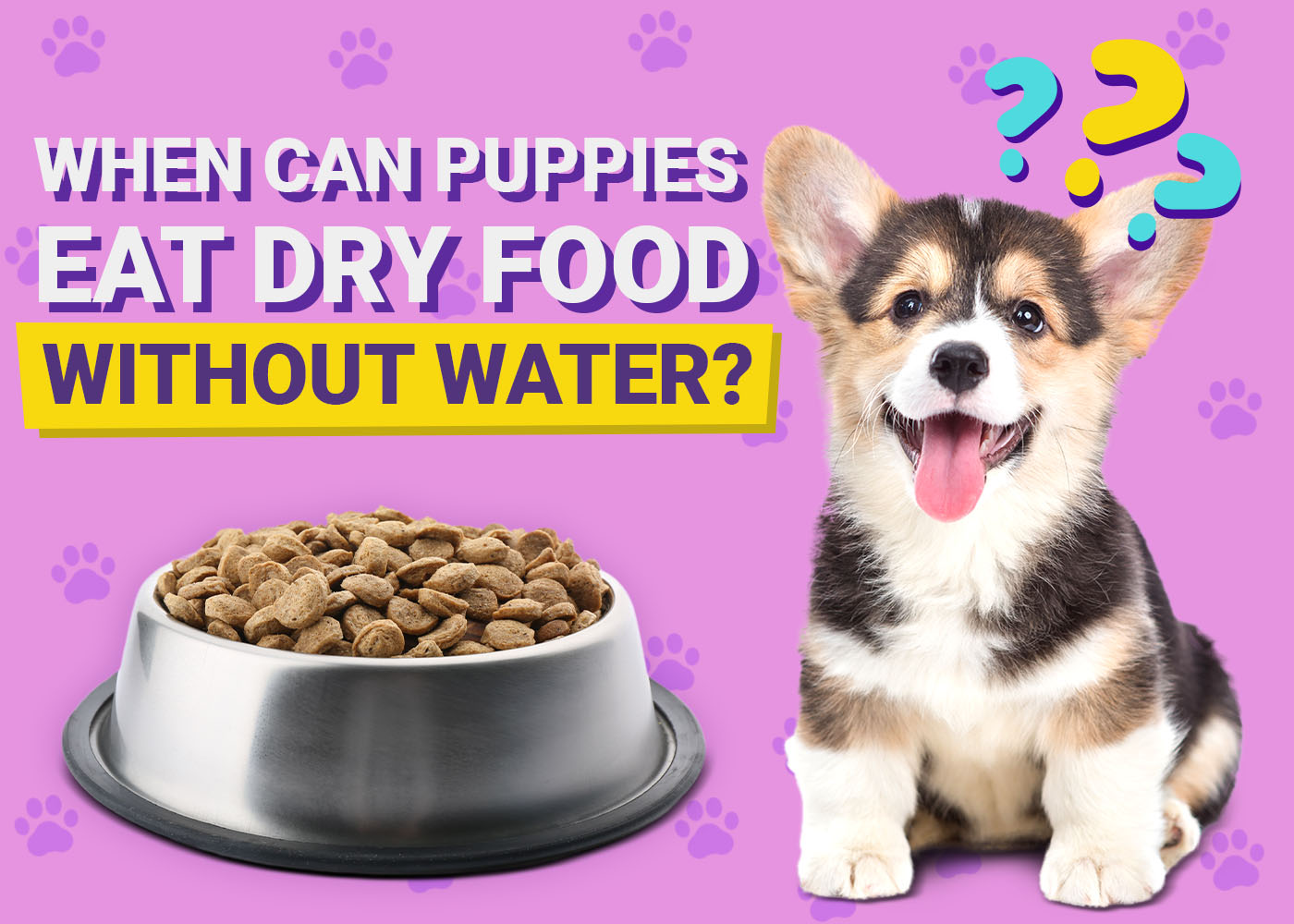 When Can Puppy Eat Dry Food Without Water: A Pet Owner’s Guide