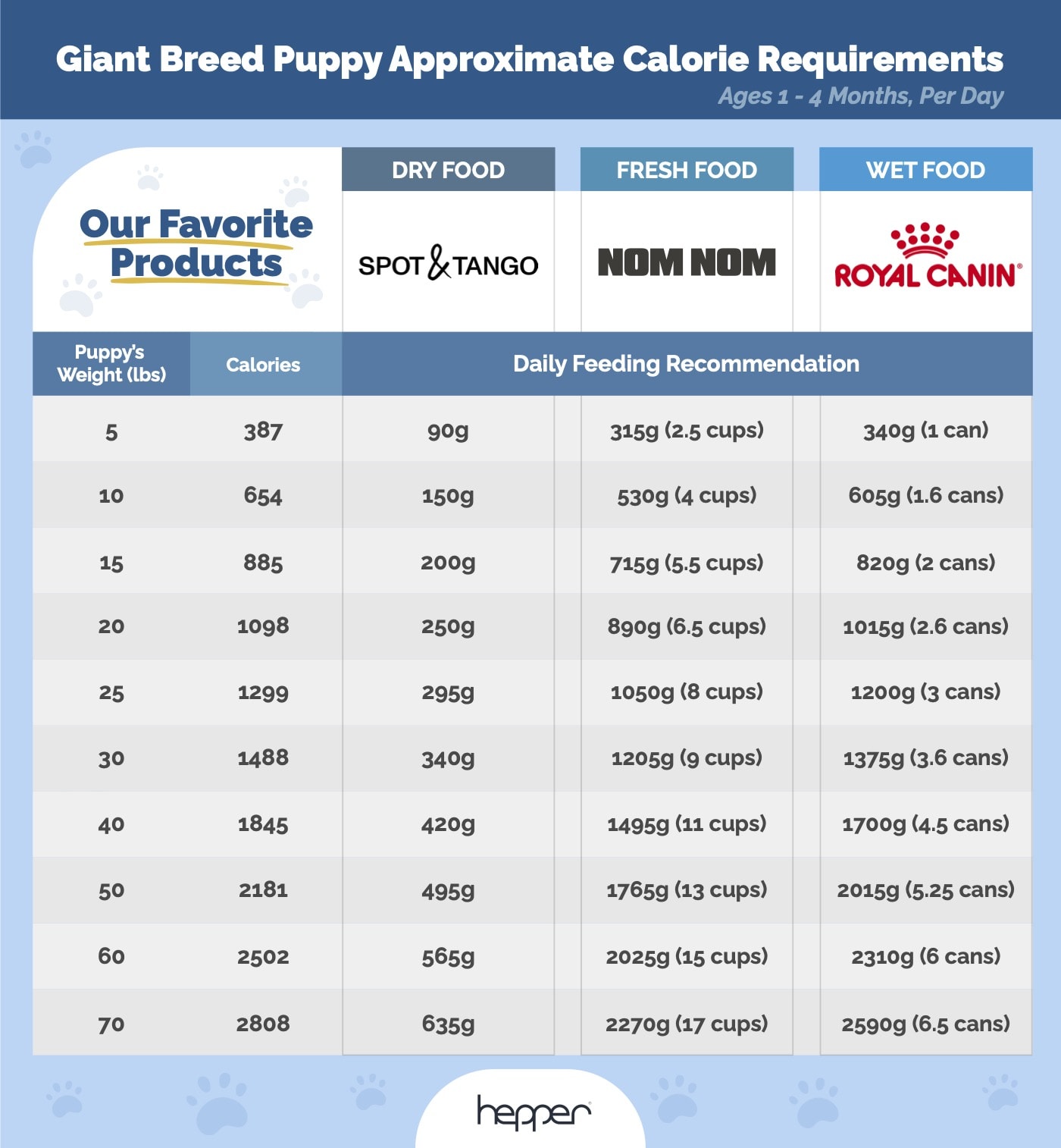 When To Switch A Great Dane: Optimal Growth Feeding Tips