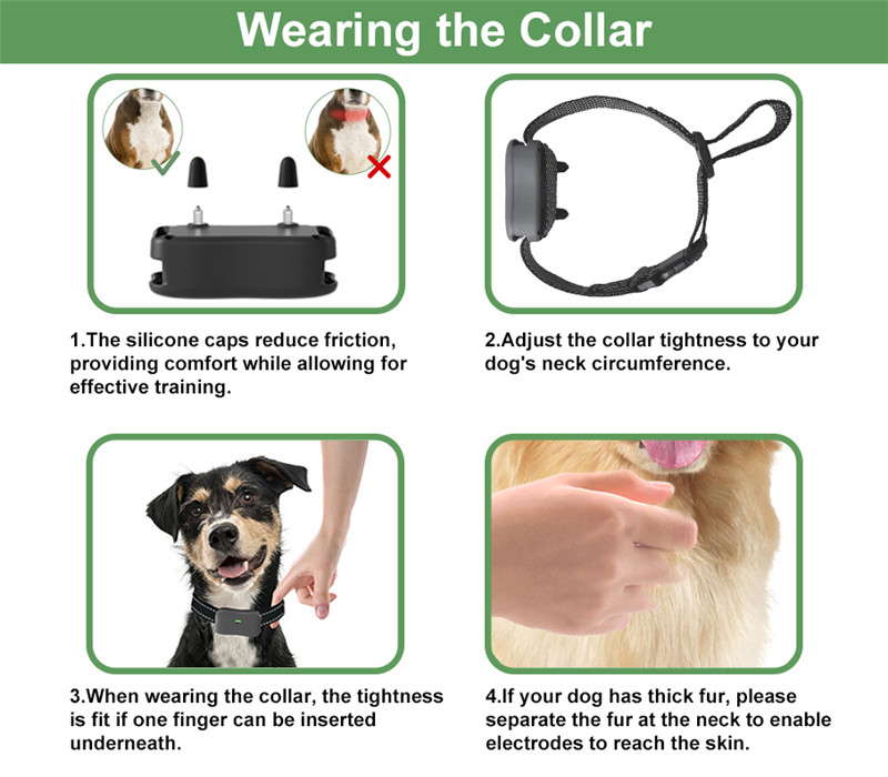 When to Use an Electric Dog Collar: Training Tips & Safety