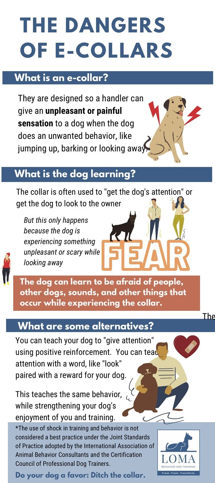 When to Use Dog Shock Collar: Training Tips & Ethics