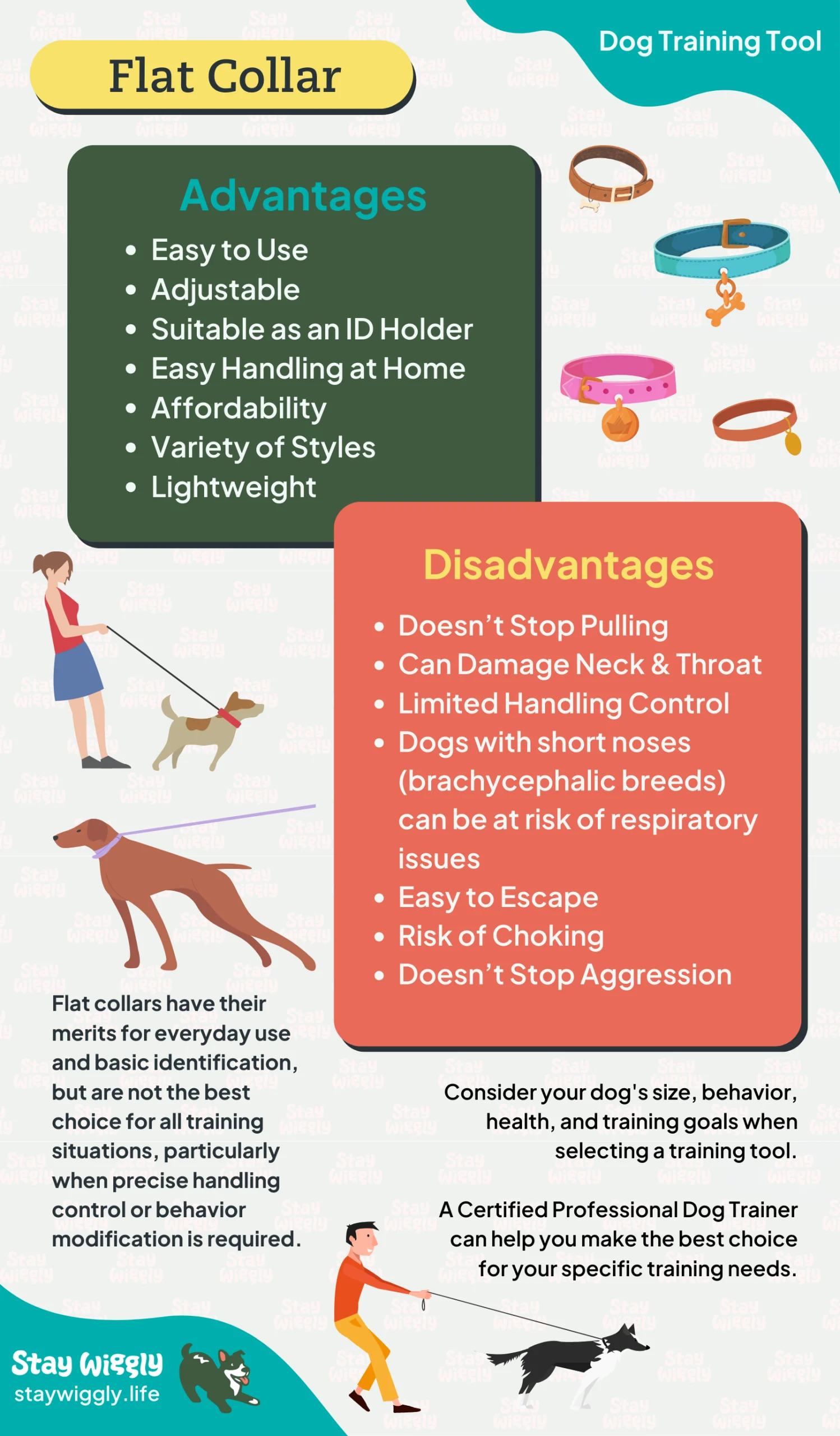 When to Use Dog Training Collar: Effective Strategies