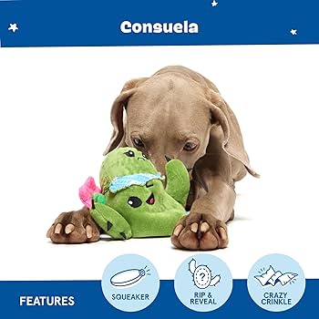 Where are Dog Toys Made? Unveiling Global Origins