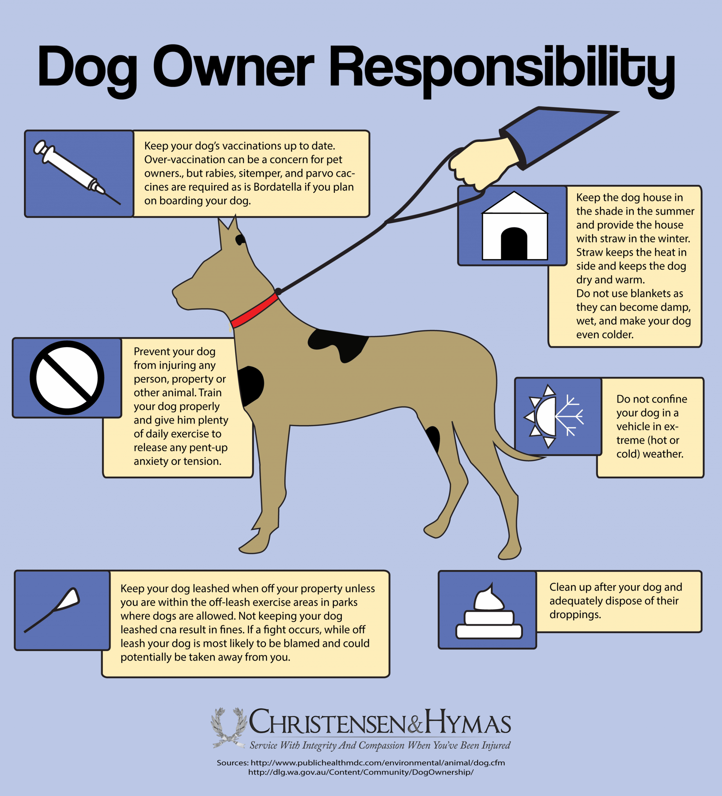 Who is Legally Responsible for a Dog’s Actions: Know Your Rights
