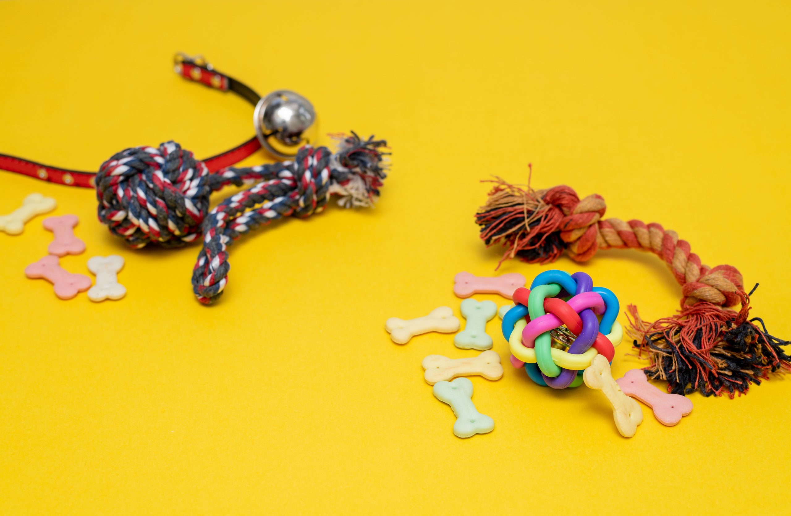 Why are Dog Toys So Expensive? Unveiling the Truth