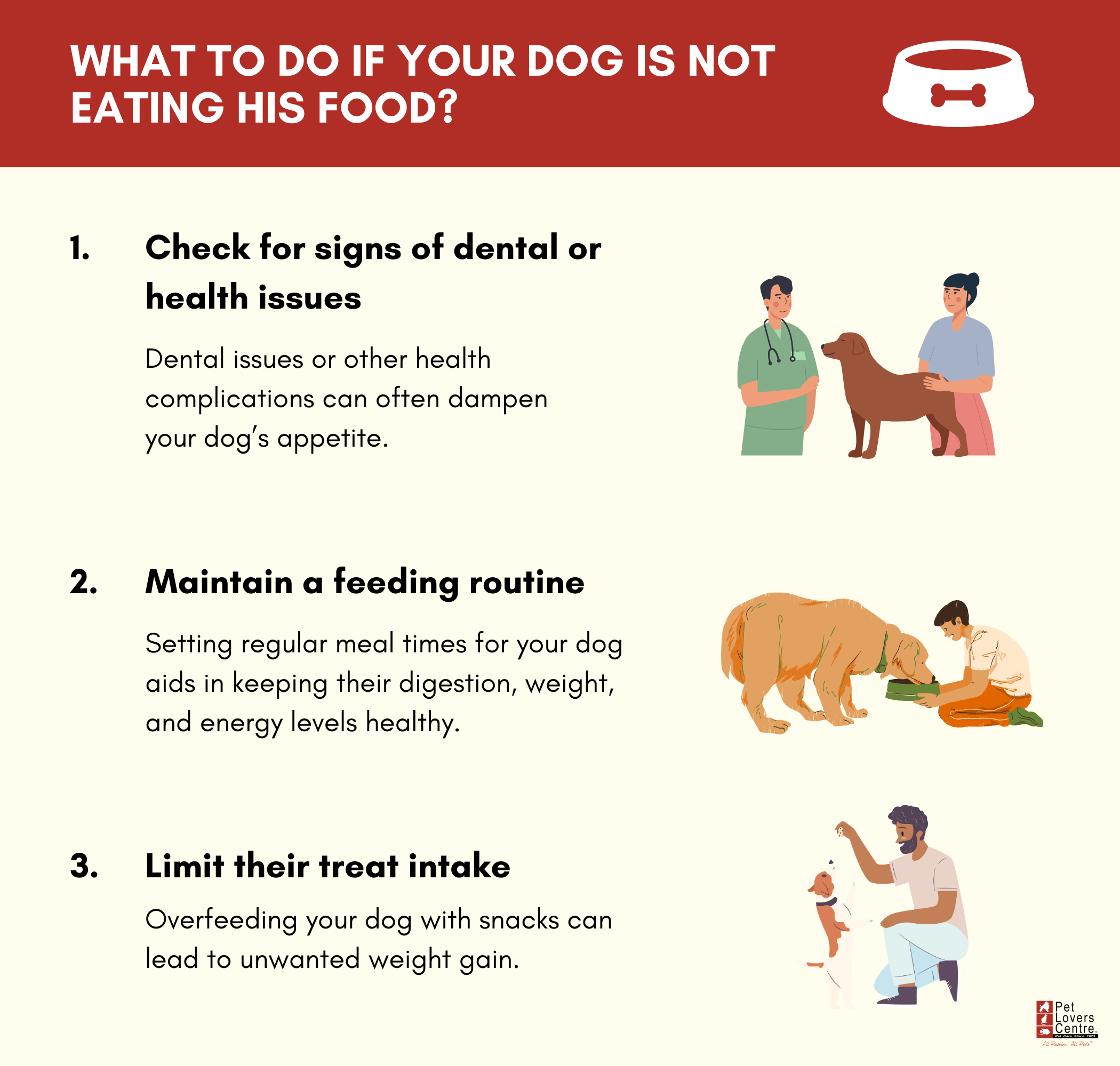 Why Does My Dog Not Want to Eat His Food Anymore? Unveiled Secrets