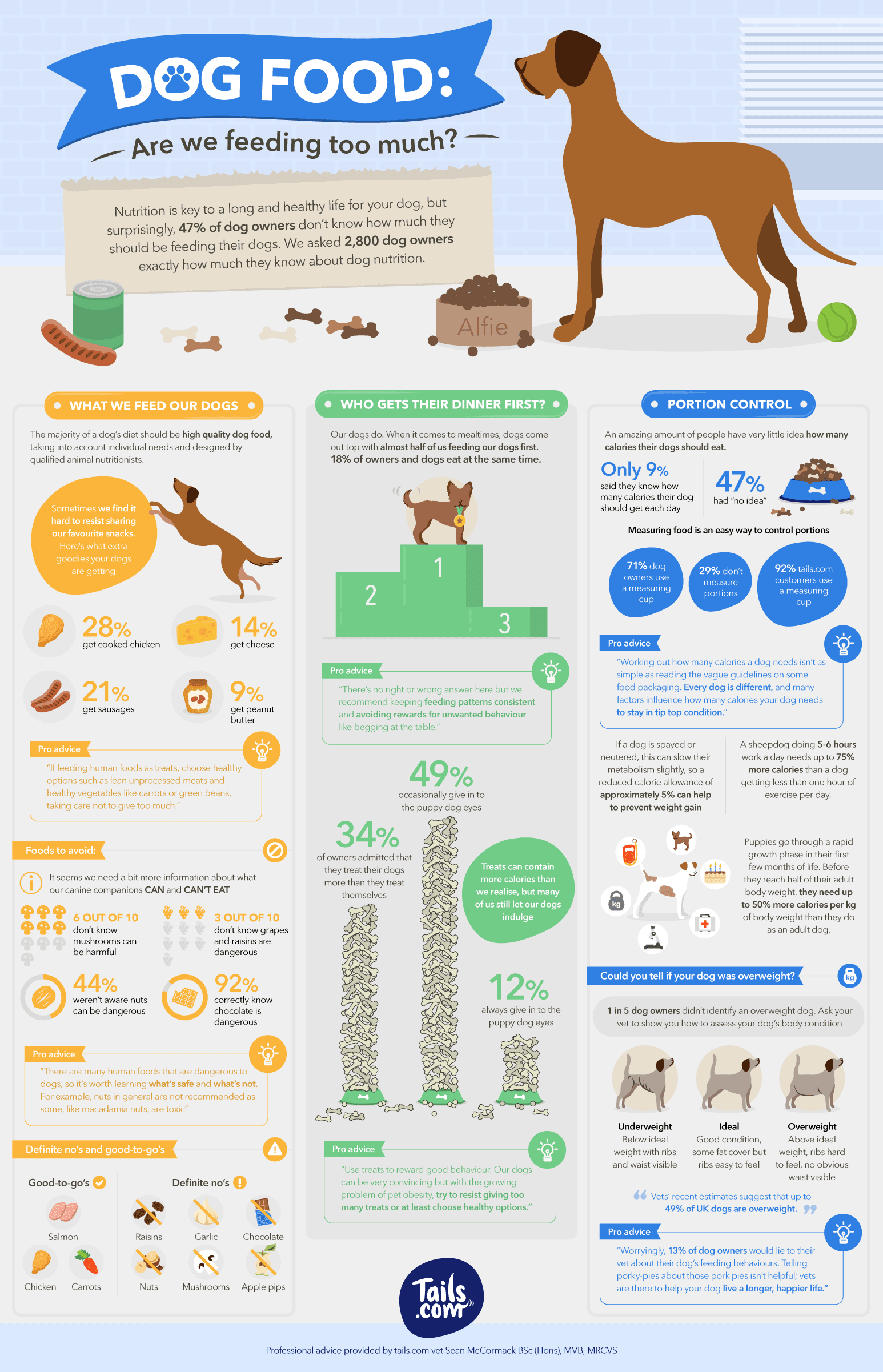 Why is Dog Food Bad for Humans: Surprising Risks Unveiled