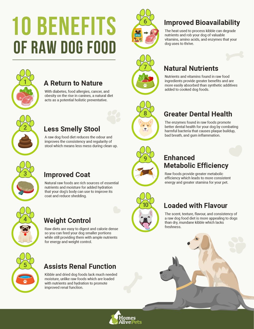 why is it important to feed your dog right top benefits